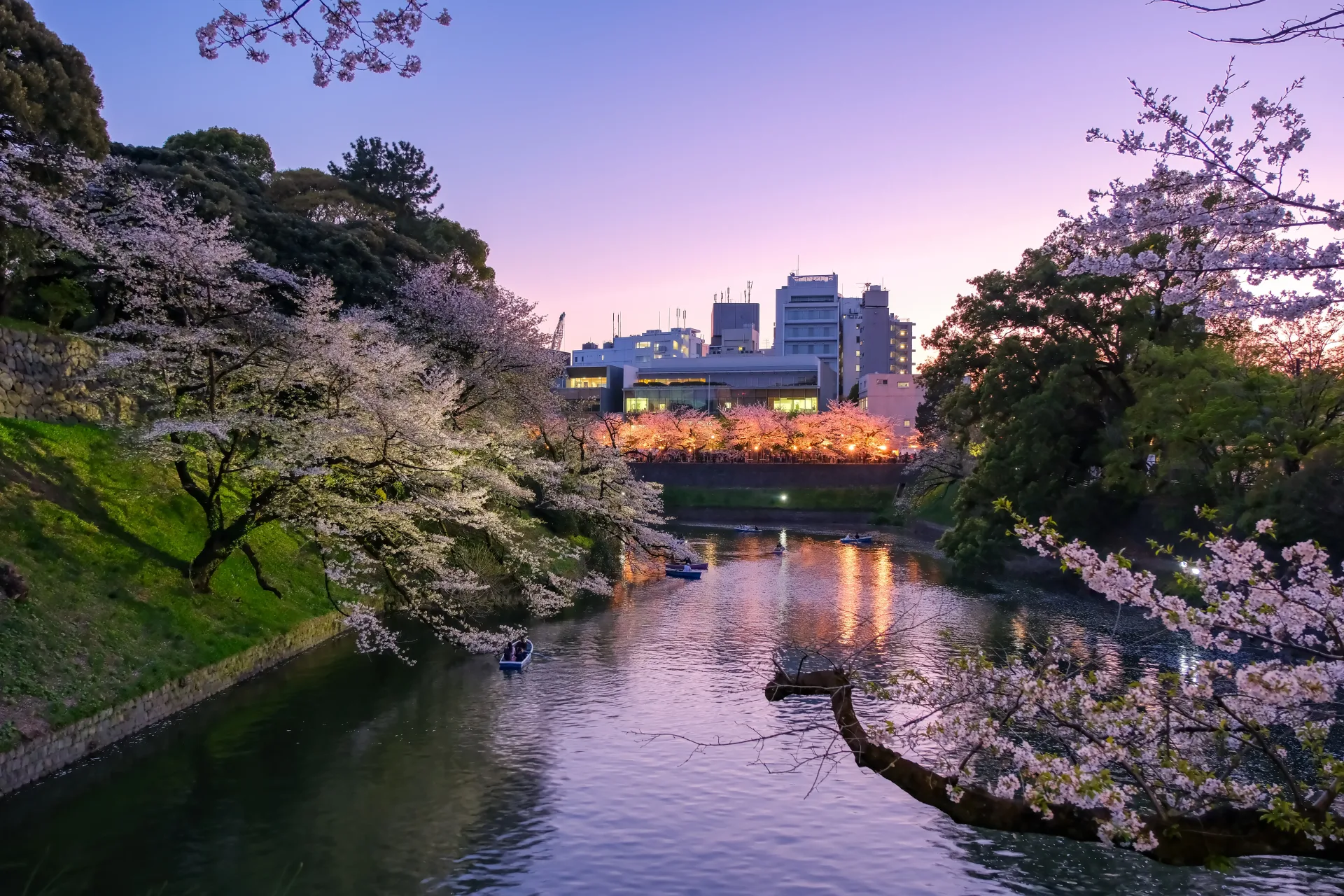 番町麹町不動産