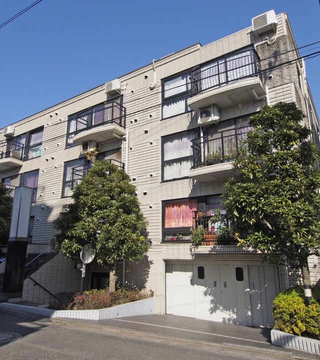 パレドノールの写真 3枚目