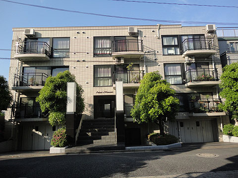 パレドノールの写真 6枚目