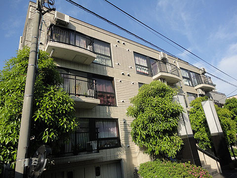 パレドノールの写真 7枚目