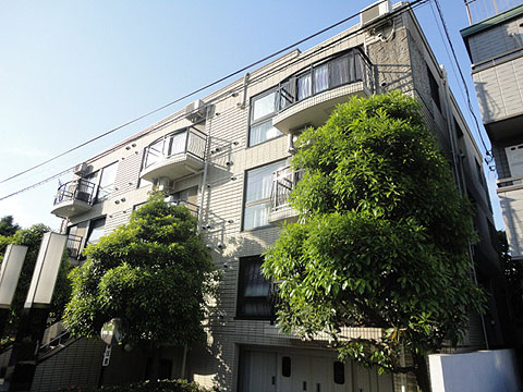 パレドノールの写真 8枚目