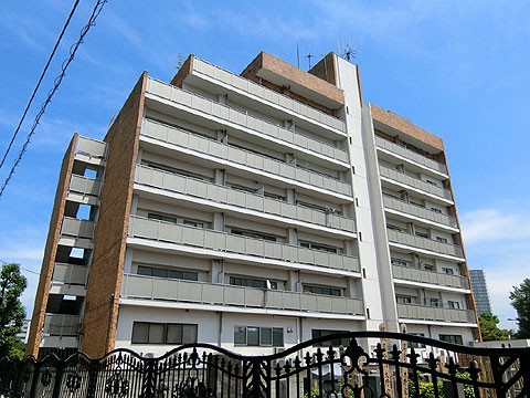 南青山サマリヤマンションの写真 11枚目