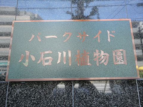 パークサイド小石川植物園の写真 16枚目