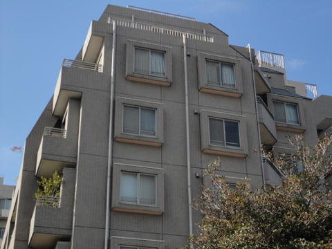 アクティス本郷真砂坂上の写真 13枚目