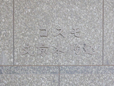 コスモ文京本駒込の写真 20枚目