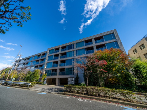 ブランズ二子玉川テラスの写真 12枚目