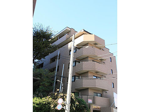 ドルチェ代々木の写真 11枚目