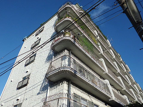 秀和上野毛レジデンスの写真 12枚目