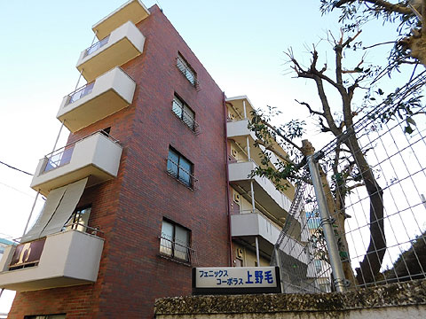 フェニックスコーポラス上野毛の写真 9枚目