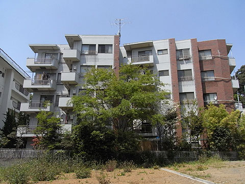 フェニックスコーポラス上野毛の写真 12枚目