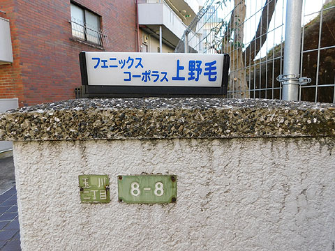 フェニックスコーポラス上野毛の写真 13枚目