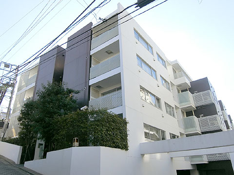 フィーノ渋谷の写真 11枚目