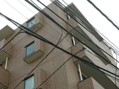 藤和田園調布ホームズの写真 13枚目