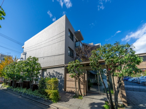 アライエ二子玉川の写真 5枚目