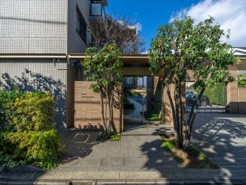 アライエ二子玉川の写真 11枚目