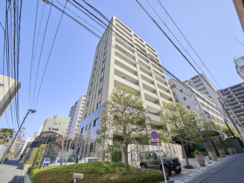 シティハウス本郷弓町の写真 13枚目