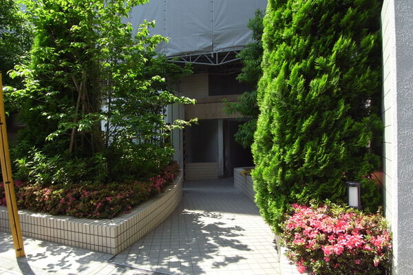 シティハウス代々木参宮橋の写真 5枚目