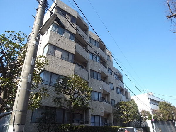 パレ二子玉川の写真 10枚目