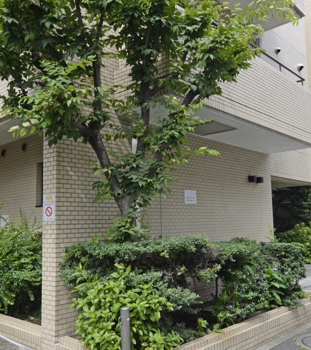 南平台サニーハイツの写真 10枚目