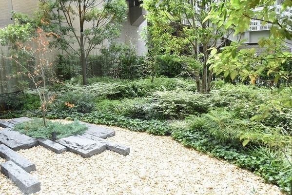 パークコート赤坂桜坂の写真 7枚目