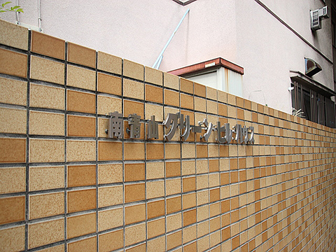 南青山グリーンヒルハウスの写真 9枚目