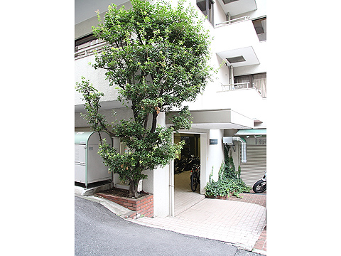 赤坂グリーンハイツの写真 9枚目