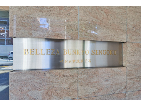 ベレッサ文京千石の写真 15枚目