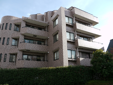 クレッセント上野毛の写真 13枚目