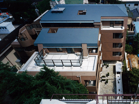 ライオンズヒルズ千石の写真 6枚目