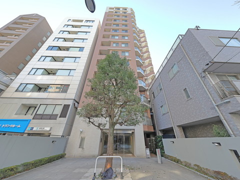 パークホームズ文京白山の写真 11枚目