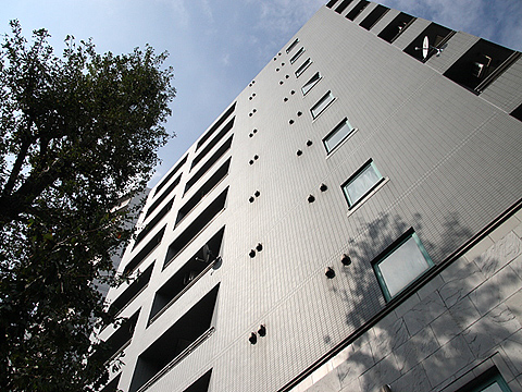 プラネット南青山の写真 12枚目