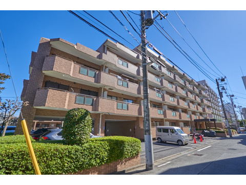 朝日クレスパリオ護国寺の写真 11枚目