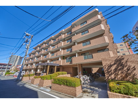 朝日クレスパリオ護国寺の写真 13枚目