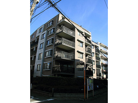 プリンスハイツ代々木の写真 13枚目