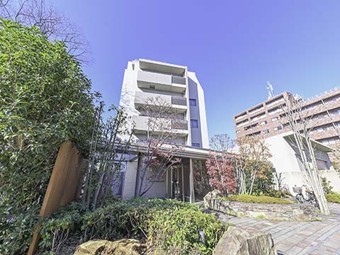 パークホームズ二子玉川ヒルトップの写真 13枚目