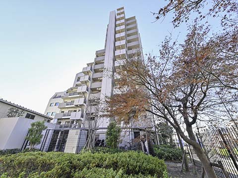 パークホームズ二子玉川ヒルトップの写真 16枚目