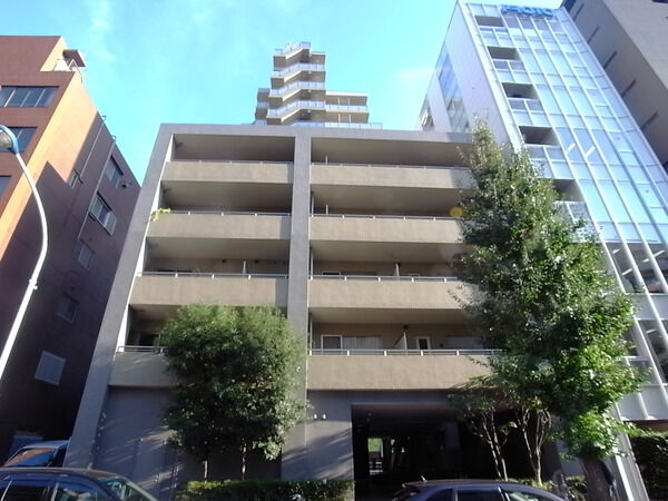 東急ドエルアルス本郷南の写真 9枚目