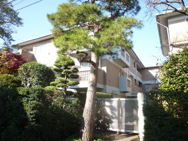 深沢レジデンスの写真 5枚目