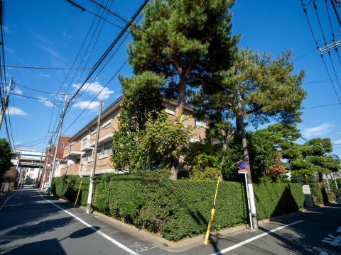 深沢レジデンスの写真 20枚目