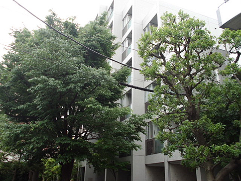 ワイライフ二子玉川の写真 12枚目