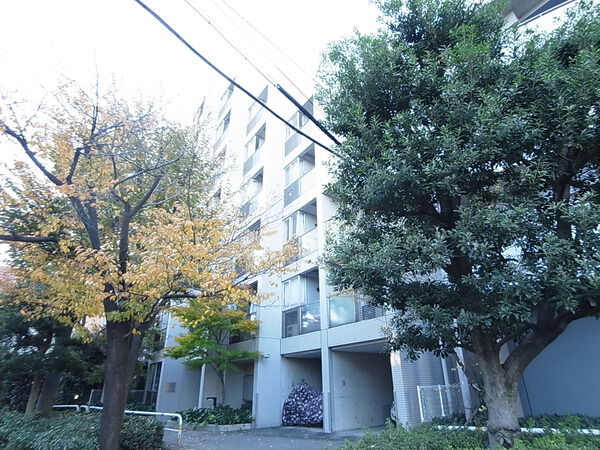 ワイライフ二子玉川の写真 4枚目