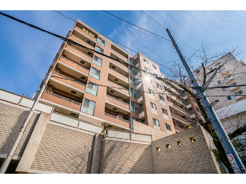 アーバンビュー本郷の写真 12枚目