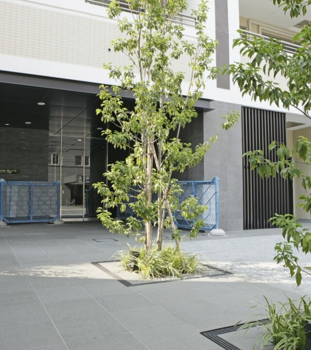 グランスイート六義園の写真 7枚目