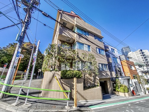 サンクタス元麻布の写真 12枚目