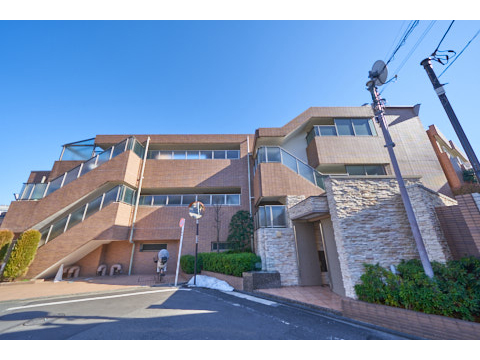 マートルコート文京西片の写真 11枚目