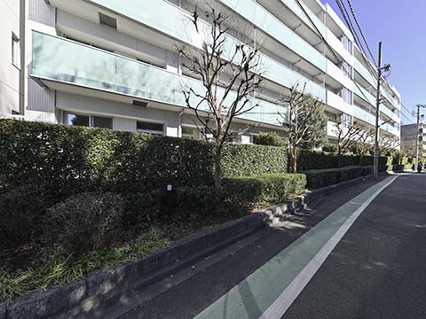 シティハウス成城ガーデンコートの写真 7枚目