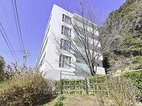 シティハウス成城ガーデンコートの写真 9枚目