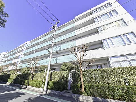 シティハウス成城ガーデンコートの写真 10枚目