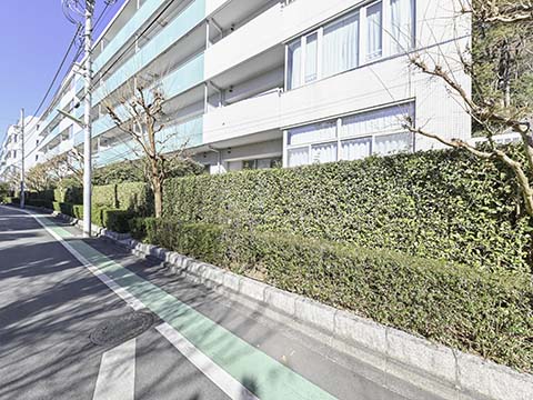 シティハウス成城ガーデンコートの写真 11枚目