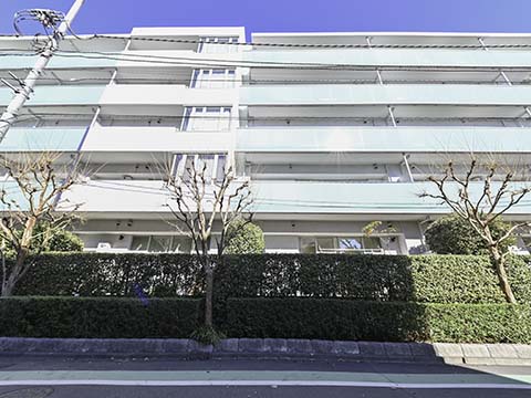 シティハウス成城ガーデンコートの写真 12枚目